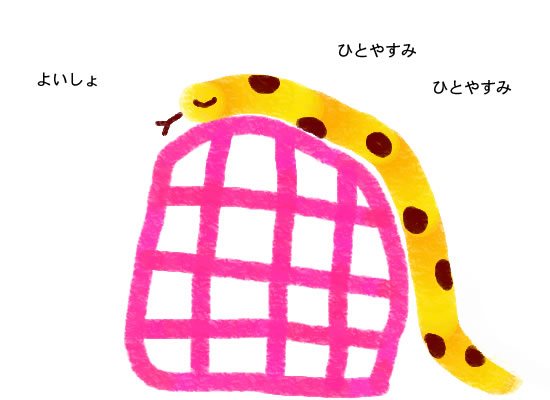 ��������̃J��